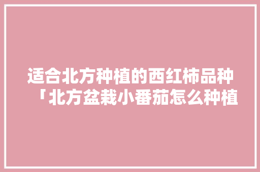 适合北方种植的西红柿品种「北方盆栽小番茄怎么种植视频」 适合北方种植的西红柿品种「北方盆栽小番茄怎么种植视频」 种植技巧