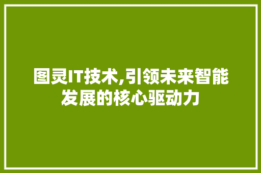 图灵IT技术,引领未来智能发展的核心驱动力