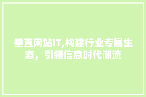 垂直网站IT,构建行业专属生态，引领信息时代潮流