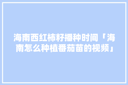 海南西红柿籽播种时间「海南怎么种植番茄苗的视频」 海南西红柿籽播种时间「海南怎么种植番茄苗的视频」 花朵知识