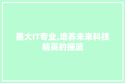 墨大IT专业,培养未来科技精英的摇篮