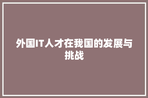 外国IT人才在我国的发展与挑战