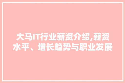 大马IT行业薪资介绍,薪资水平、增长趋势与职业发展前景