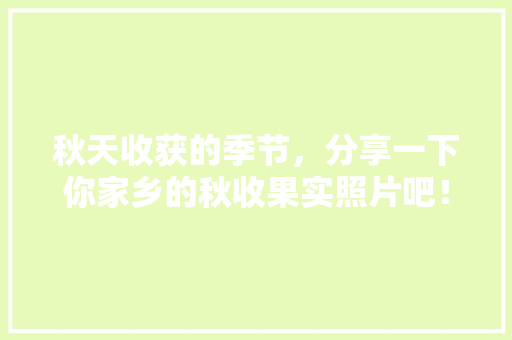 秋天收获的季节，分享一下你家乡的秋收果实照片吧！可以吗「金桔番茄怎么种植的图片大全」