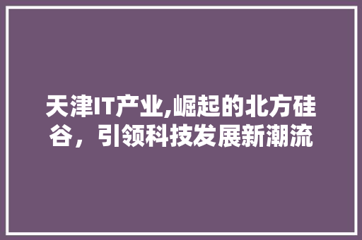 天津IT产业,崛起的北方硅谷，引领科技发展新潮流