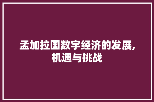 孟加拉国数字经济的发展,机遇与挑战