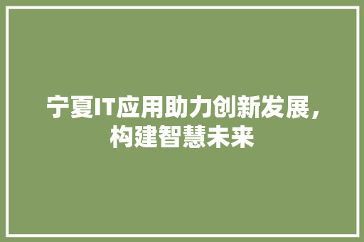 宁夏IT应用助力创新发展，构建智慧未来