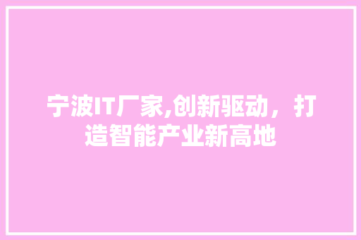 宁波IT厂家,创新驱动，打造智能产业新高地