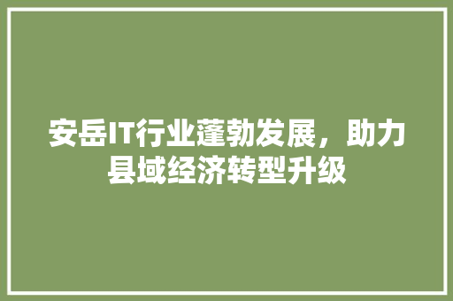 安岳IT行业蓬勃发展，助力县域经济转型升级