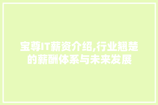 宝尊IT薪资介绍,行业翘楚的薪酬体系与未来发展