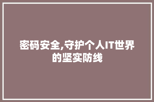 密码安全,守护个人IT世界的坚实防线