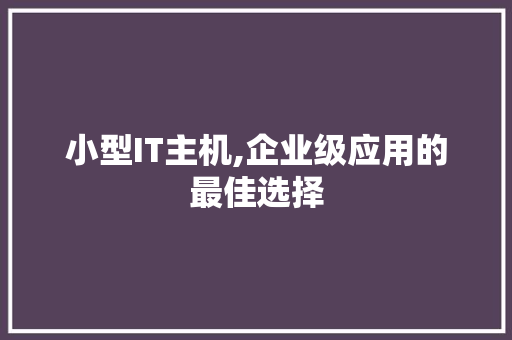 小型IT主机,企业级应用的最佳选择