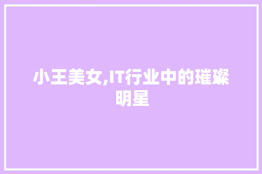 小王美女,IT行业中的璀璨明星