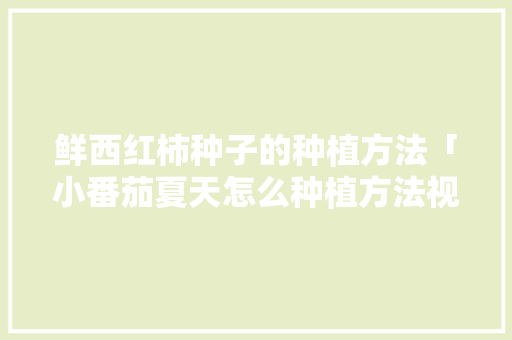 鲜西红柿种子的种植方法「小番茄夏天怎么种植方法视频」 鲜西红柿种子的种植方法「小番茄夏天怎么种植方法视频」 农业常识