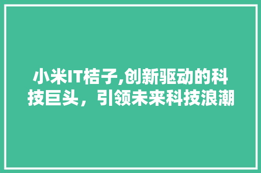 小米IT桔子,创新驱动的科技巨头，引领未来科技浪潮