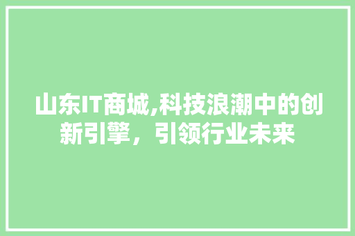 山东IT商城,科技浪潮中的创新引擎，引领行业未来