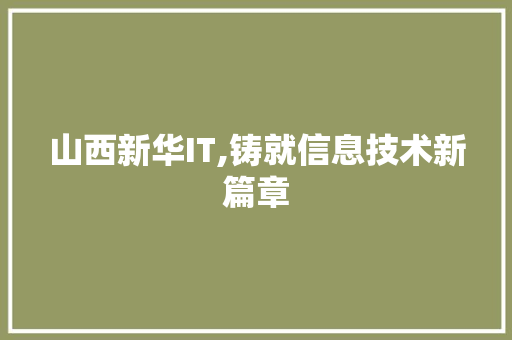 山西新华IT,铸就信息技术新篇章