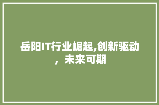 岳阳IT行业崛起,创新驱动，未来可期