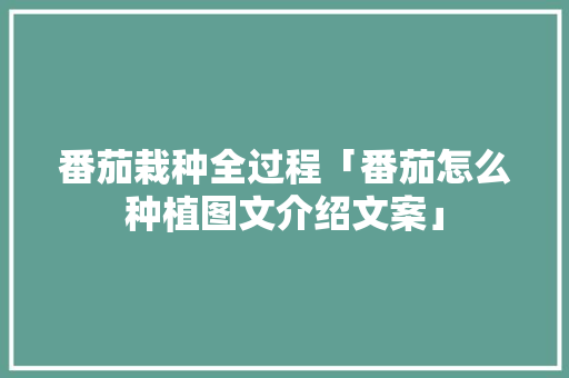 番茄栽种全过程「番茄怎么种植图文介绍文案」 番茄栽种全过程「番茄怎么种植图文介绍文案」 番茄病虫害防治