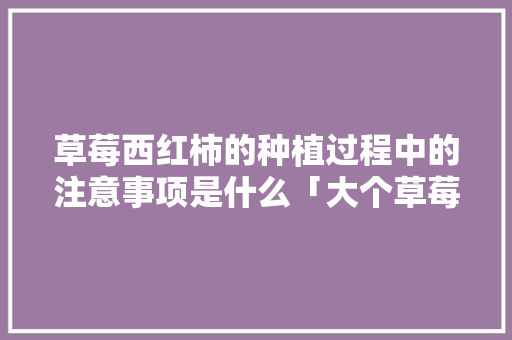 草莓西红柿的种植过程中的注意事项是什么「大个草莓番茄怎么种植视频」 草莓西红柿的种植过程中的注意事项是什么「大个草莓番茄怎么种植视频」 植物种类