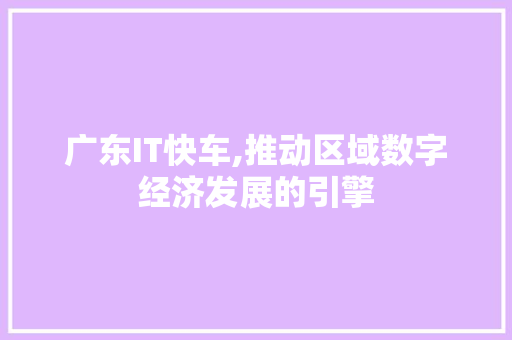 广东IT快车,推动区域数字经济发展的引擎