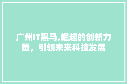 广州IT黑马,崛起的创新力量，引领未来科技发展