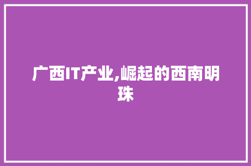 广西IT产业,崛起的西南明珠