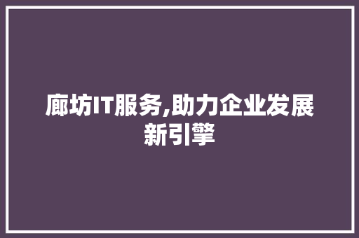 廊坊IT服务,助力企业发展新引擎