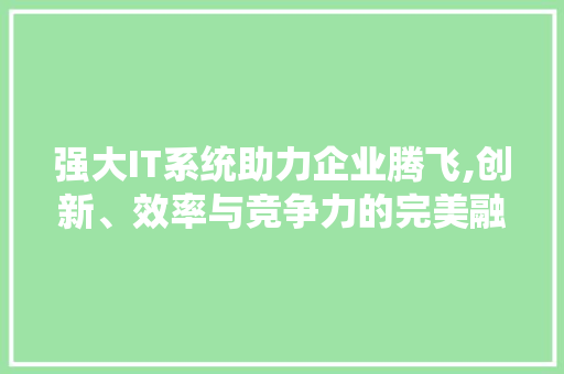 强大IT系统助力企业腾飞,创新、效率与竞争力的完美融合