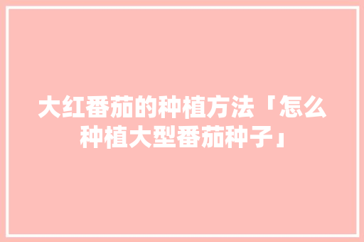大红番茄的种植方法「怎么种植大型番茄种子」 大红番茄的种植方法「怎么种植大型番茄种子」 土壤施肥