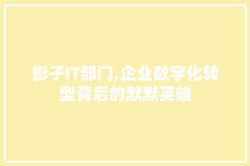 影子IT部门,企业数字化转型背后的默默英雄