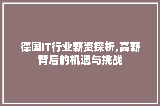 德国IT行业薪资探析,高薪背后的机遇与挑战