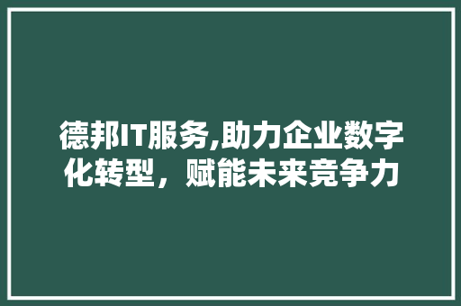 德邦IT服务,助力企业数字化转型，赋能未来竞争力