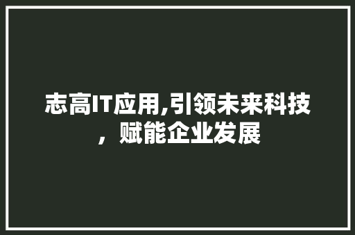 志高IT应用,引领未来科技，赋能企业发展