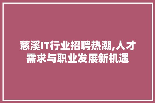 慈溪IT行业招聘热潮,人才需求与职业发展新机遇