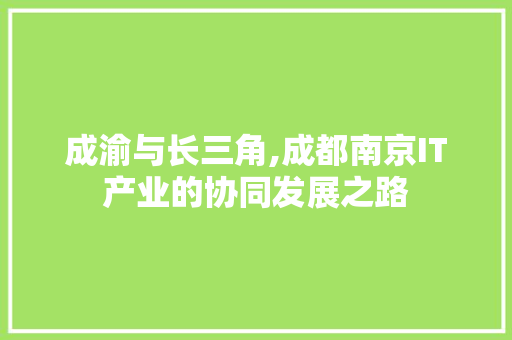 成渝与长三角,成都南京IT产业的协同发展之路