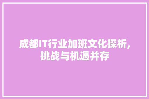 成都IT行业加班文化探析,挑战与机遇并存