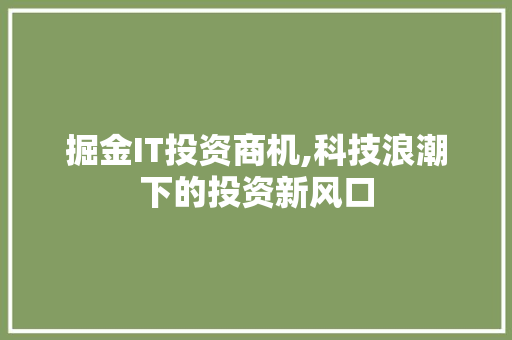 掘金IT投资商机,科技浪潮下的投资新风口