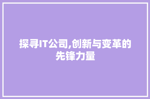 探寻IT公司,创新与变革的先锋力量