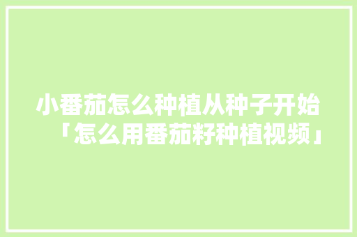 小番茄怎么种植从种子开始「怎么用番茄籽种植视频」 小番茄怎么种植从种子开始「怎么用番茄籽种植视频」 植物种类