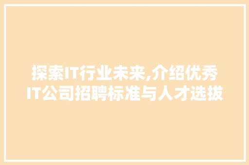 探索IT行业未来,介绍优秀IT公司招聘标准与人才选拔步骤