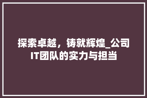 探索卓越，铸就辉煌_公司IT团队的实力与担当