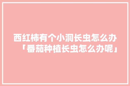 西红柿有个小洞长虫怎么办「番茄种植长虫怎么办呢」