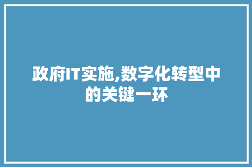政府IT实施,数字化转型中的关键一环