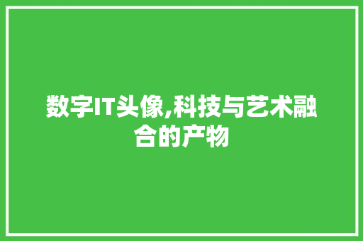 数字IT头像,科技与艺术融合的产物
