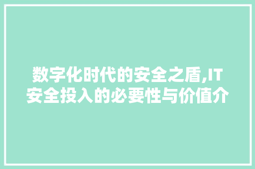 数字化时代的安全之盾,IT安全投入的必要性与价值介绍