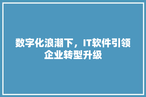 数字化浪潮下，IT软件引领企业转型升级