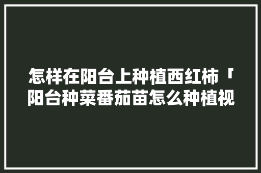 怎样在阳台上种植西红柿「阳台种菜番茄苗怎么种植视频」 怎样在阳台上种植西红柿「阳台种菜番茄苗怎么种植视频」 农业常识