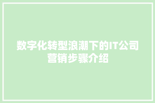 数字化转型浪潮下的IT公司营销步骤介绍