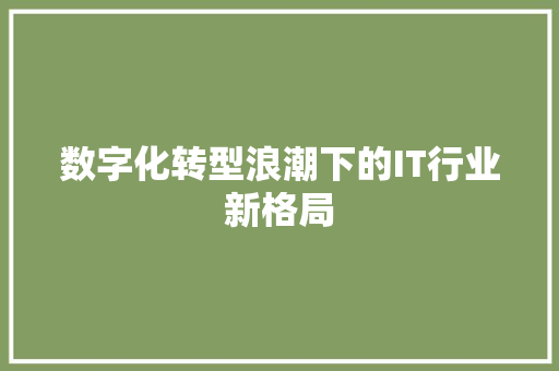 数字化转型浪潮下的IT行业新格局